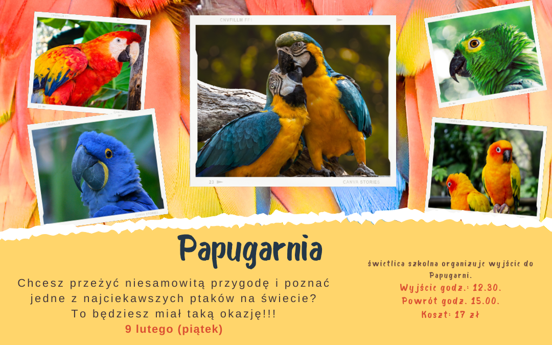 Papugarnia