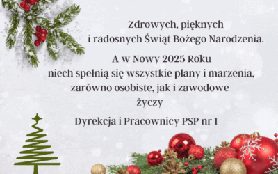 Zdrowych, pięknych i radosnych Świąt Bożego Narodzenia!