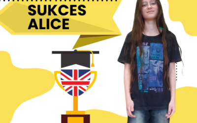 Sukces Alice