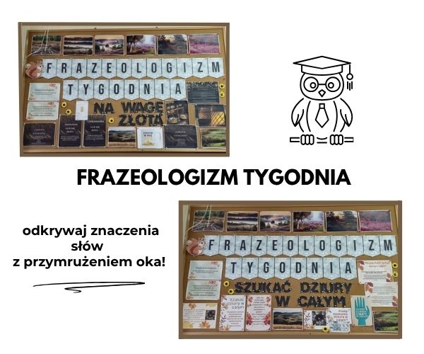 Frazeologizm tygodnia – nowy projekt językowy w naszej szkole!